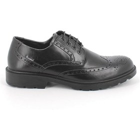 Resim Oxford/ayakkabı Erkek Diğer 4602400 Igı&co Uctgt 46024 Nero Siyah 