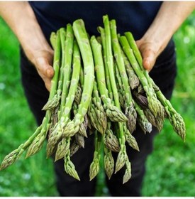 Resim Ata Tohum Geleneksel Asparagus Kuşkonmaz Tohumu 20 Tohum 