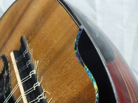 Resim Beautiful High Quality Padauk Oud Ud with Equalizer tl1 