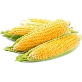 Resim Haşlamalık Mısır Tohumu 25 Gram 1 Set 