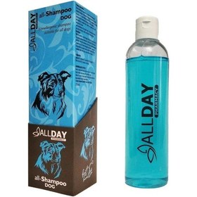 Resim Allday All-Shampoo Hypoallrgenic Köpek Şampuanı 250 ML 