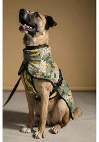 Resim 2as Büyük Irk Köpekler İçin Yağmurluk, 9-55 Kg Arası Uygun 142335 