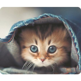 Resim Maiyame Yumuşak Ve Rahat 9 Kedi Desenli Kaymaz Mouse Pad, 18x22cm Siyah Optik 