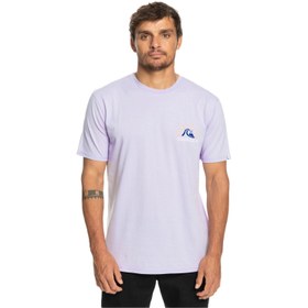 Resim Quiksilver Originalbarrel Erkek Mor Tişört 