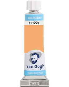 Resim Talens Van Gogh 10 Ml. Tüp Sulu Boya 224 Naples Yellow Red 