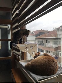 Resim Büyük Boy Ahşap Yapışan Kedi Yatağı Vantuzlu Açık Bej 