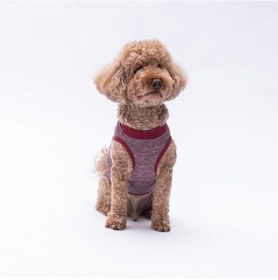 Resim Bordo Space Time Kedi Köpek Tişörtü - Kedi Köpek Kıyafeti 