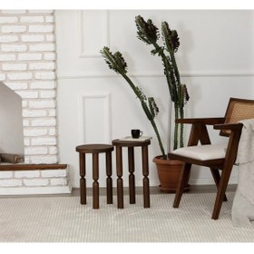 Resim AYLESA Ahşap 2’li Set Piloti Yan Sehpa Modern Fiskos / Çiçeklik Ceviz Renk 