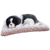 Resim Karbon Köpek Oyuncağı - Koku Giderici Yongtao 