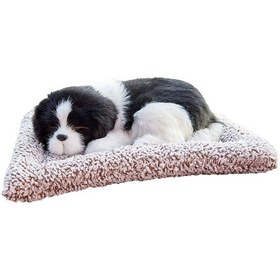 Resim Karbon Köpek Oyuncağı - Koku Giderici Yongtao 