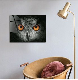 Resim Decorıta Hayvanlar | Cam Tablo | Baykuş - Yatay Görünüm 