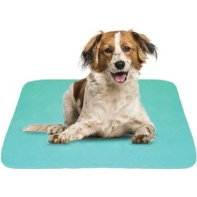Resim 5 Katlı Yıkanabilir, Sıvı Geçirmez Köpek Çiş Pedi (75X90 CM) 