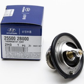 Resim Hyundai İx35 Termostat 