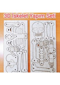 Resim Iskelet Sistemi Yapım Seti Ahşap Boyanabilir Montessori Eğitim Ürünü Fen Bilimleri Deneyleri 