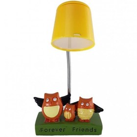 Resim Hediye Kesesi Fotoğraf Hediyeli Best Friends Baykuşlu Masa Lambası 