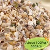 Resim Yaklaşık 100/500 Adet Karışık Mini Deniz Kabukları - Çok Renkli Paket, El İşleri, Dekoratif Resimler, Vazo Süslemeleri ve DIY Projeler İçin İdeal | Doğal Görünüm | Çeşitli Kabuklar, Deniz Kabuğu Dekorasyonları 