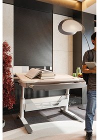 Resim Sirius Standart Yükseklik Ve Eğim Ayarlı Çekmeceli Bilgisayar, Ofis Ve Çalışma Masası Ekru Gri Gri 