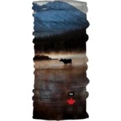 Resim Pirate & Parrot Parrot&pirate Bandana-Boyunluk Jasper 