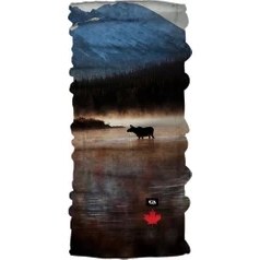 Resim Pirate & Parrot Parrot&pirate Bandana-Boyunluk Jasper 