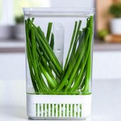 Resim Süzgeçli Yeşillik Saklama Kabı 2,9 Litre Vienev