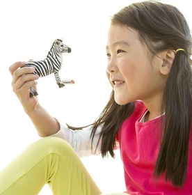 Resim Schleich Yavru Zebra 14811 