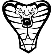 Resim Kıvırcıkyoga Cobra Yılanı - Araç, Oto, Laptop, Duvar Uyumlu Sticker 50*50 Cm 