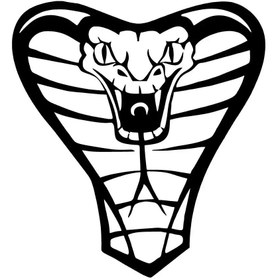 Resim Kıvırcıkyoga Cobra Yılanı - Araç, Oto, Laptop, Duvar Uyumlu Sticker 50*50 Cm 