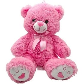 Resim 40 Cm Renkli Pelüş Ayı 1575 Çok Renkli 