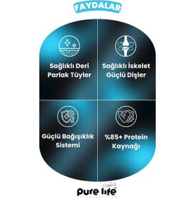 Resim Purelife Plus 3'lü Stick Somonlu Kedi Ödül Çubukları 3 x 15 G 