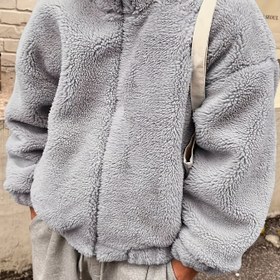 Resim Erkekler İçin Dik Yaka ve Tam Fermuarlı Kışlık Ceket - Peluş, Rahat Kesim, Cepli - Makinede Yıkanabilir Soğuk Hava Dış Giyim, Kayak İçin, Günlük (Toplu Değil) - Bej/Kahverengi 