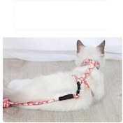 Resim Gika Kedi Gezdirme Göğüs Tasması Pembe 