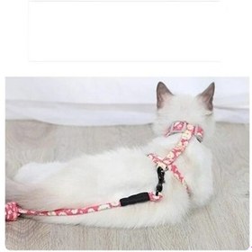 Resim Gika Kedi Gezdirme Göğüs Tasması Pembe 