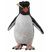Resim Collecta Kaya Pengueni 