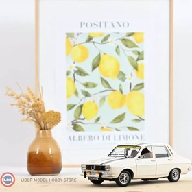 Resim 1:18 Norev 1993 Renault 12 TS Tuning // 300 Limitli 