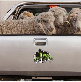 Resim Hayalet Pençe Araba Kendinden Yapışkanlı Etiket Hava Koşullarına Dayanıklı Suv Oto Kaporta Araç Pencere Tampon Çizik Large Left 