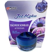 Resim Yağmur Sonrası Jel Oto Kokusu 