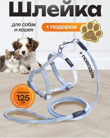 Resim Alenat Orta Ve Küçük Irklar İçin Kedi Göğüs Tasması Ve Tasması 433455558 