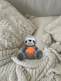 Resim Nefes Alan Uyku Arkadaşı Tembel Hayvan 