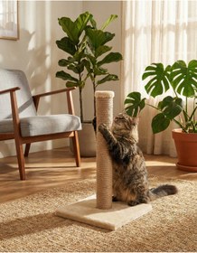 Resim BRT Pet Peluş Kedi Tırmalama Tahtası - 52 Cm 