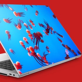 Resim Kırmızı Deniz Anaları Notebook Sticker, Laptop sticker,, Hp Sticker, Asus Sticker, 15.6 inç Sticker 