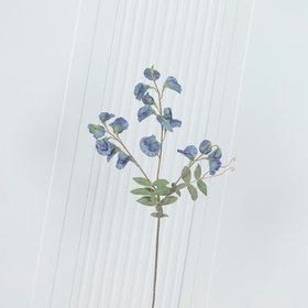 Resim Pea Antik Yeşil Bezelye Çiçeği 