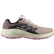 Resim Salomon Alpha Glide Gtx W Gore-tex L47857900 Erkek Spor Ayakkabı Pudra 