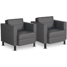 Resim Koltukstilim Belen Deri İki Adet Tekli Koltuk Gri 