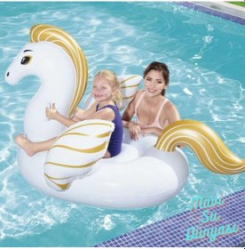 Resim Pegasus Tutmalı Binici 159 X 109 Cm 