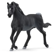 Resim Schleich Rabicano Arap Aygırı 13981 