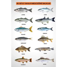Resim Fishack 30 Parça Deniz ve Göl Profesyonel Olta Takımı Seti - 300cm Kamış 100-300GR / 40'lık Makine - Ful Set 