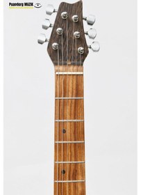 Resim Elektro Gitar Custom Epoksi & Yıllanmış Ağaç Kişiye Özel Suhr Burst 
