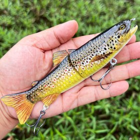 Resim 1 adet, 2-Section 50G Alabalık Olta Yemi, Yüksek Dizinli Plastik, Karma Renk, 1 Olta Yemi, Avcılık ve Balıkçılık Ekipmanları, Outdoor Spor Ekipmanları 