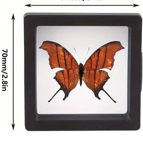 Resim Güneşe Dayanıklı 3 Adet Gümüş Takı Yada Kolleksiyon Koruma Kutusu Çok Renkli 