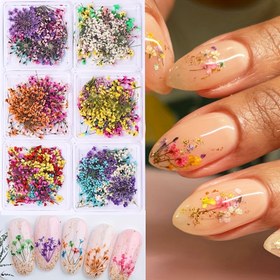 Resim 6 Kutu Tırnak Kuru Çiçek Tırnak Süsleri, Karışık Renk Dantel Kuru Çiçek Tırnak Aksesuarları, 3D Petal Yıldızlı Gökyüzü Doğal Gerçek Kuru Çiçek, Kadınlar ve Kızlar için Tırnak Sanatı Malzemeleri, DIY El Sanatları için Uygun 